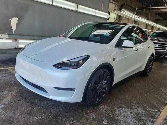 TESLA MODEL Y 2022 7SAYGDEF3NF484468 image